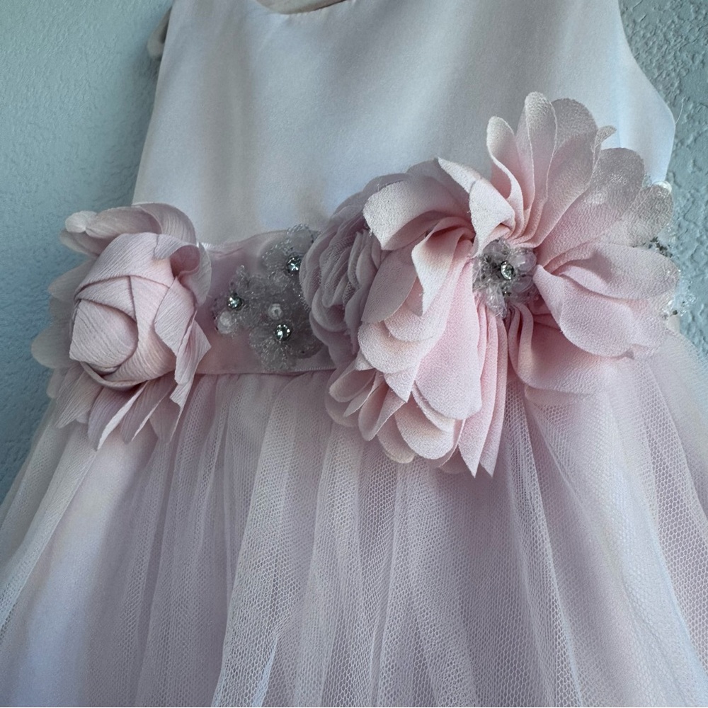 Chantilly Place Sleeveless Blush-Pink Floral Waist Tulle Gown for Girls. Size 5. - Picture 4 of 17